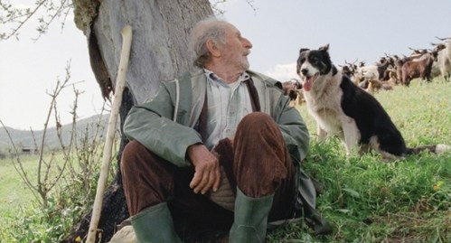 Media_httpwwwtimeshig_aaqav